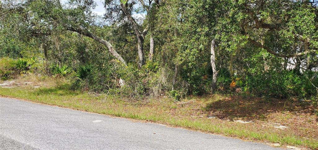 A wooded, undeveloped residential lot sits alongside a paved asphalt road — 1227 ALAFIA WAY, KISSIMMEE, FL