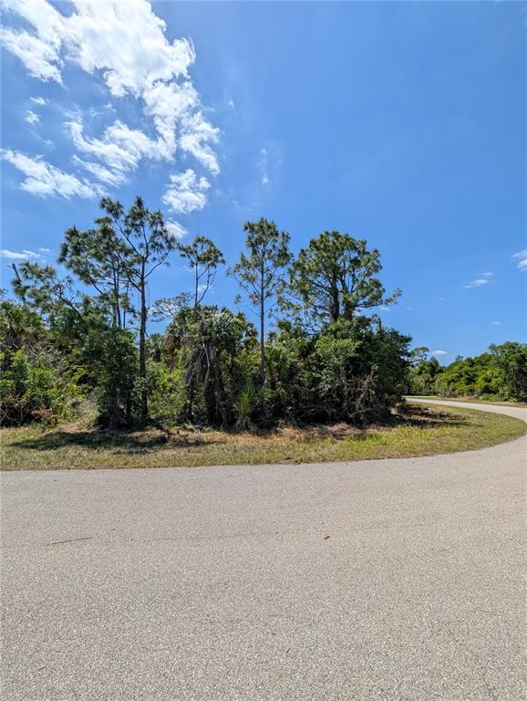 A paved road curves past a wooded lot with pine trees and dense undergrowth — 2515 COLONY CIRCLE, NORTH PORT, FL