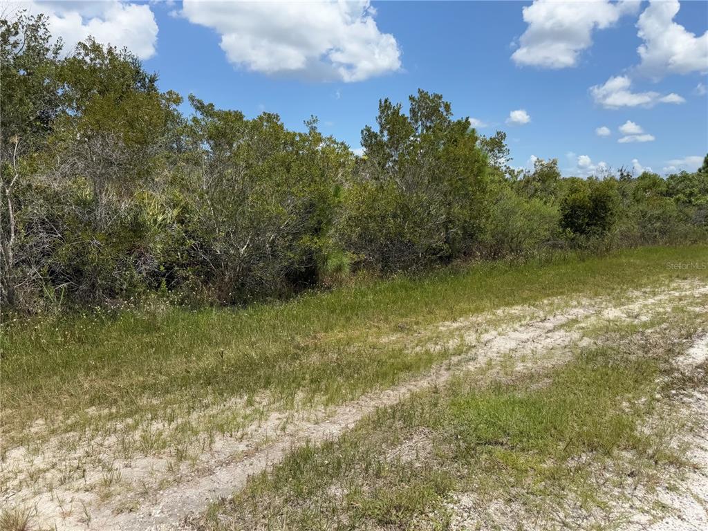 A view of a vacant, wooded lot with a dirt path in the foreground — SARASOTA DRIVE, INDIAN LAKE ESTATES, FL