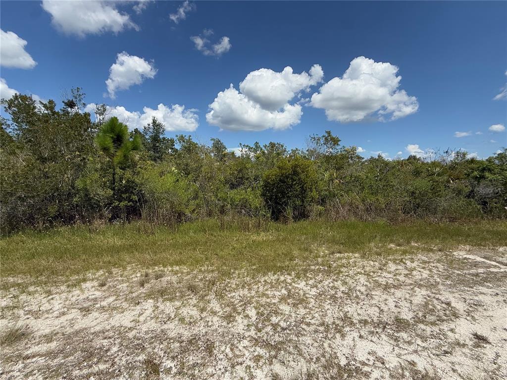 A dirt path runs alongside a dense thicket of trees and shrubs under a blue sky — SARASOTA DRIVE, INDIAN LAKE ESTATES, FL