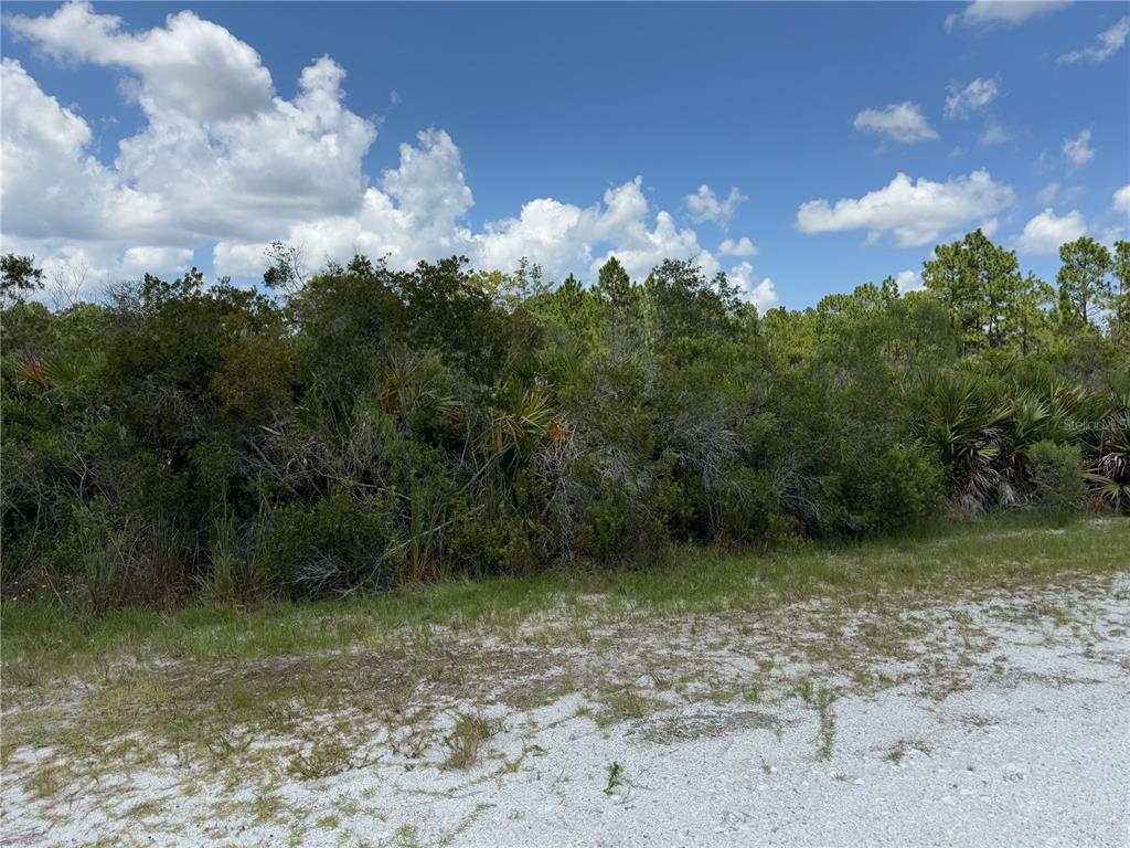 A sandy, undeveloped lot features a dense line of trees and shrubs under a blue sky — SARASOTA DRIVE, INDIAN LAKE ESTATES, FL