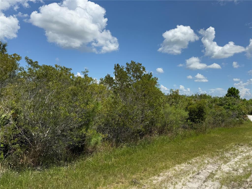 A view of a vacant, wooded lot with a sandy foreground under a blue sky — SARASOTA DRIVE, INDIAN LAKE ESTATES, FL