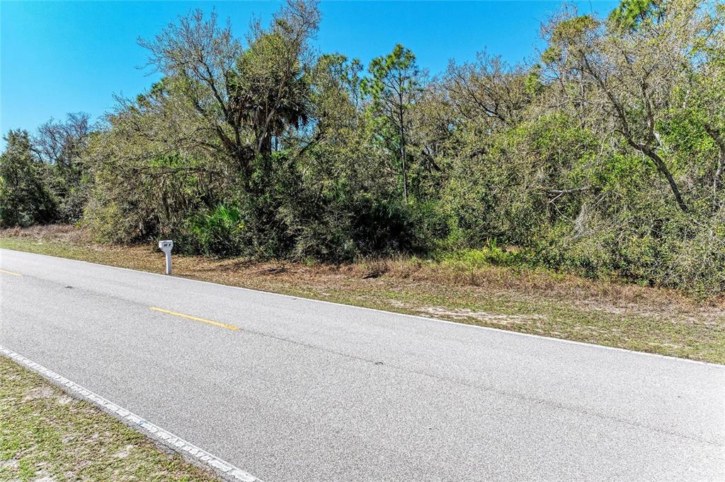 A paved road runs alongside a densely wooded, undeveloped lot under a clear blue sky — 3067 COMO STREET, PORT CHARLOTTE, FL