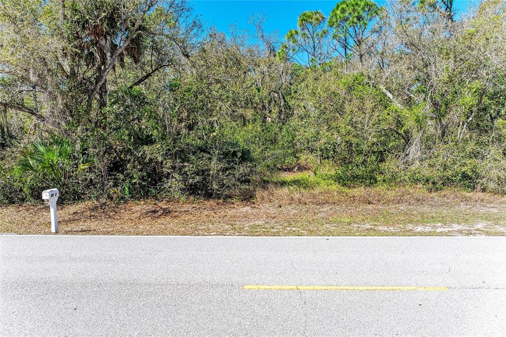 A paved road runs in front of a dense, wooded vacant lot with a mailbox — 3067 COMO STREET, PORT CHARLOTTE, FL