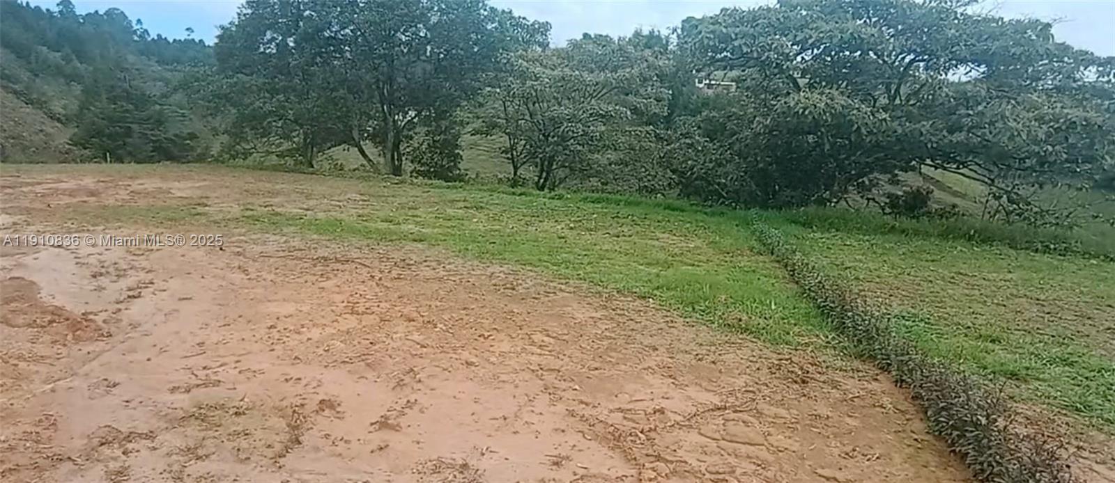 A dirt clearing transitions into a grassy field bordered by trees under a cloudy sky — Vereda Mampuesto Sector Garrido #7, C Colombia, C