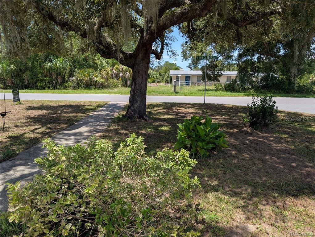 A large oak tree shades a sidewalk and lawn in front of a residential street — 716 S EDEN GARDENS AVENUE, INVERNESS, FL