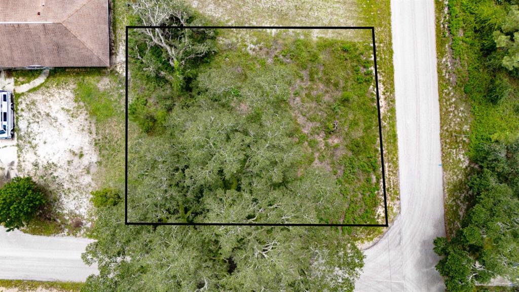 An aerial view shows a rectangular vacant lot with mature trees and surrounding roads — 0 RIDERWOOD DRIVE, DADE CITY, FL
