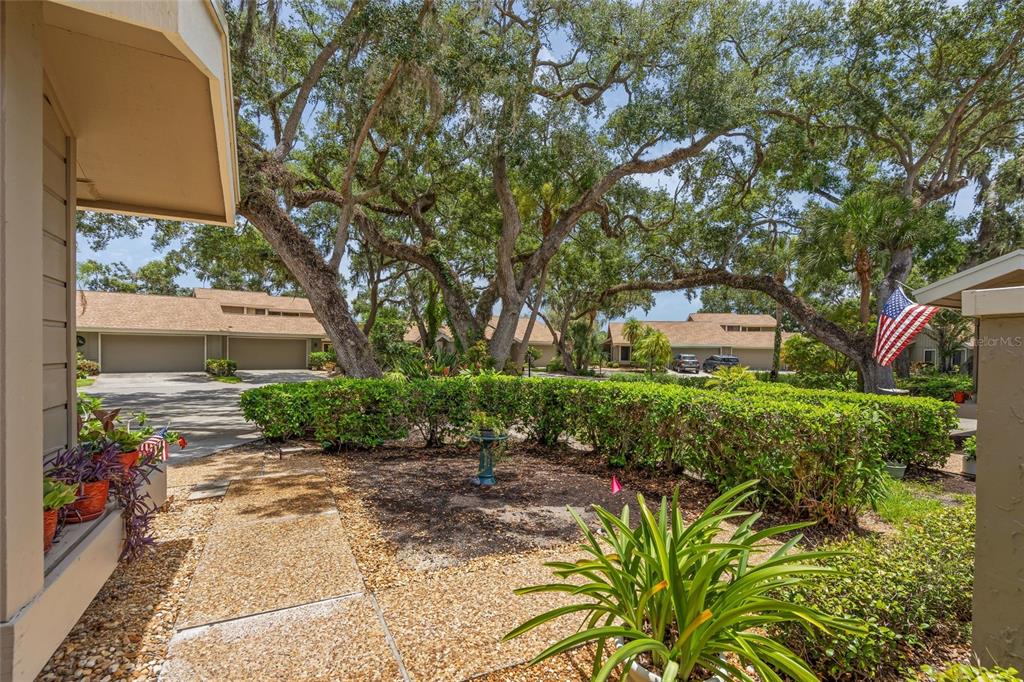 A paved walkway leads through a landscaped yard toward residential buildings under large oak trees — 4562 FOREST WOOD TRAIL UNIT 15, SARASOTA, FL