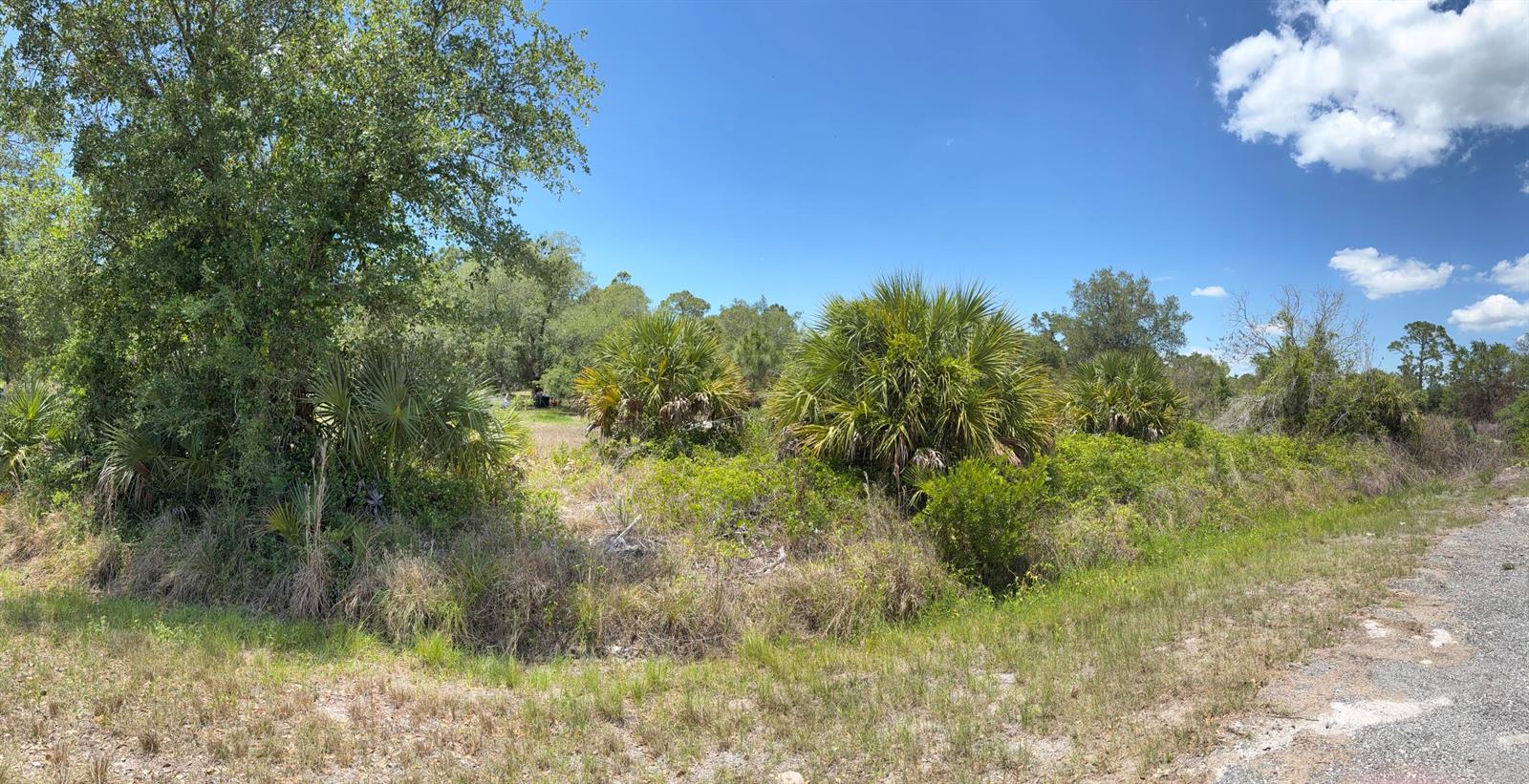 A panoramic view of a grassy, undeveloped lot with scattered palm trees and native vegetation — 210 S Zambria Street, Clewiston FL 33440, CLEWISTON, FL