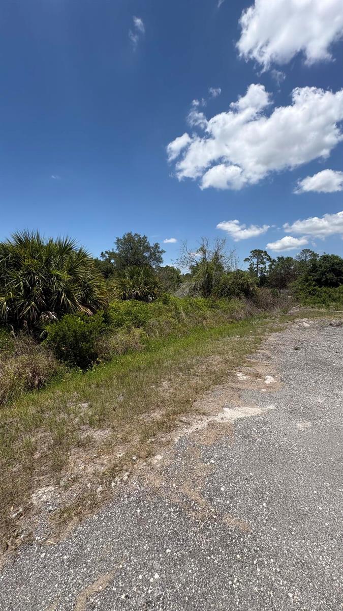 A gravel road runs alongside a grassy area with dense shrubs and palm trees — 210 S Zambria Street, Clewiston FL 33440, CLEWISTON, FL