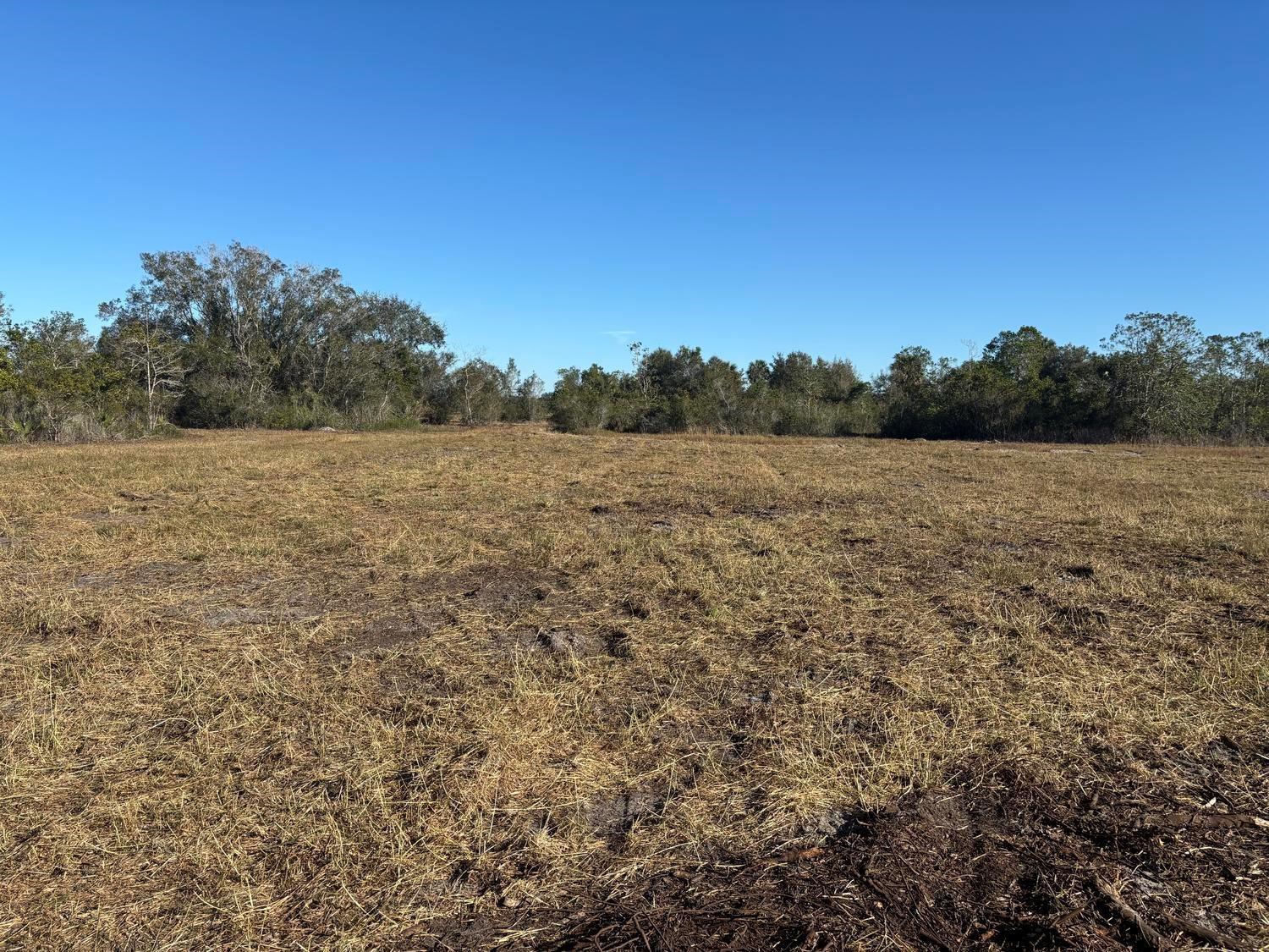 A wide, flat, cleared field of dry grass bordered by a line of trees — 0 NW 296th Street, Okeechobee FL 34972, OKEECHOBEE, FL