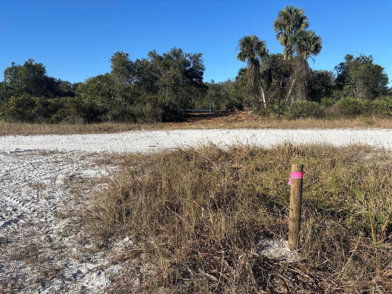 A wooden survey stake with pink tape stands in a sandy lot before a wooded area — 0 NW 296th Street, Okeechobee FL 34972, OKEECHOBEE, FL
