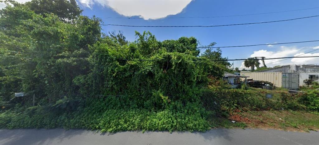 A vacant, overgrown lot with dense vegetation sits beside a small structure and storage container — 3504 E 5TH STREET, PANAMA CITY, FL