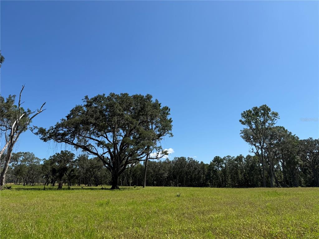 DR #5 (24ac) NW 193RD ST, MICANOPY, FL — photo 3 of 8