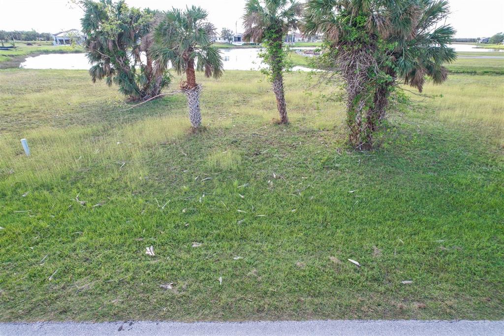 A grassy vacant lot features several palm trees and a view of a small pond — 16208 SAN EDMUNDO ROAD, PUNTA GORDA, FL