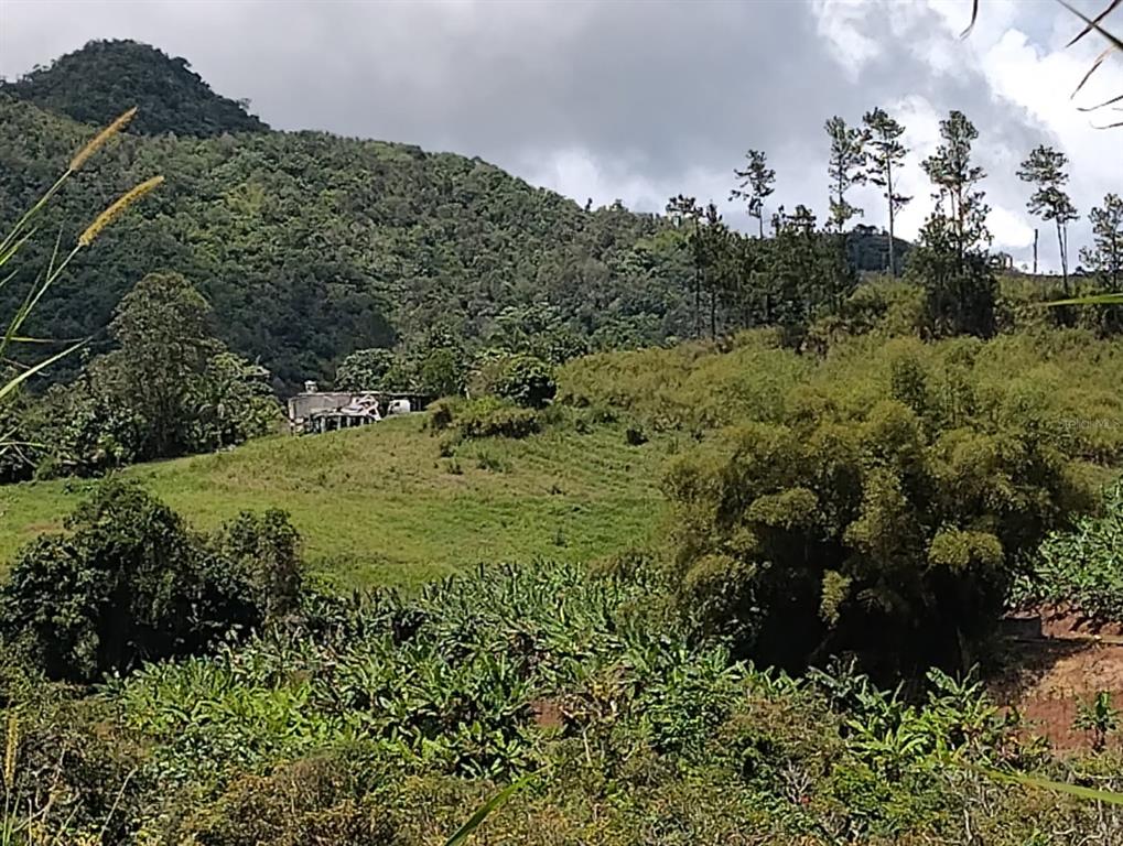 A small house sits on a grassy hillside surrounded by lush green mountains and trees — KM 0.2 INT Bo. Helechal PR 152, BARRANQUITAS, PR
