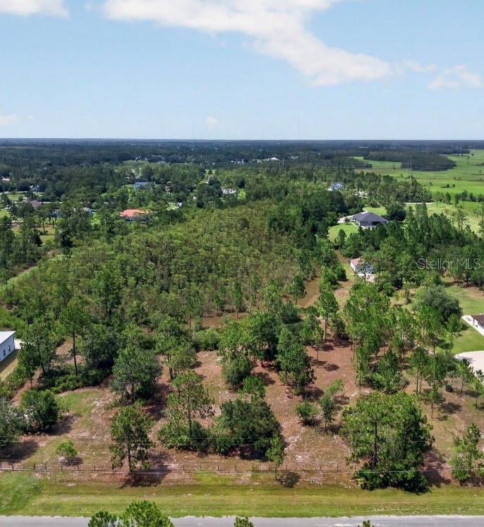 An aerial view shows a large, wooded residential lot with scattered pine trees and grass — 20829 QUARTERLY PARKWAY, ORLANDO, FL