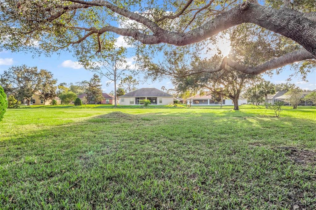 A large, grassy backyard features mature oak trees and several neighboring houses in the distance — 9 MOUNT VERNON LANE, PALM COAST, FL