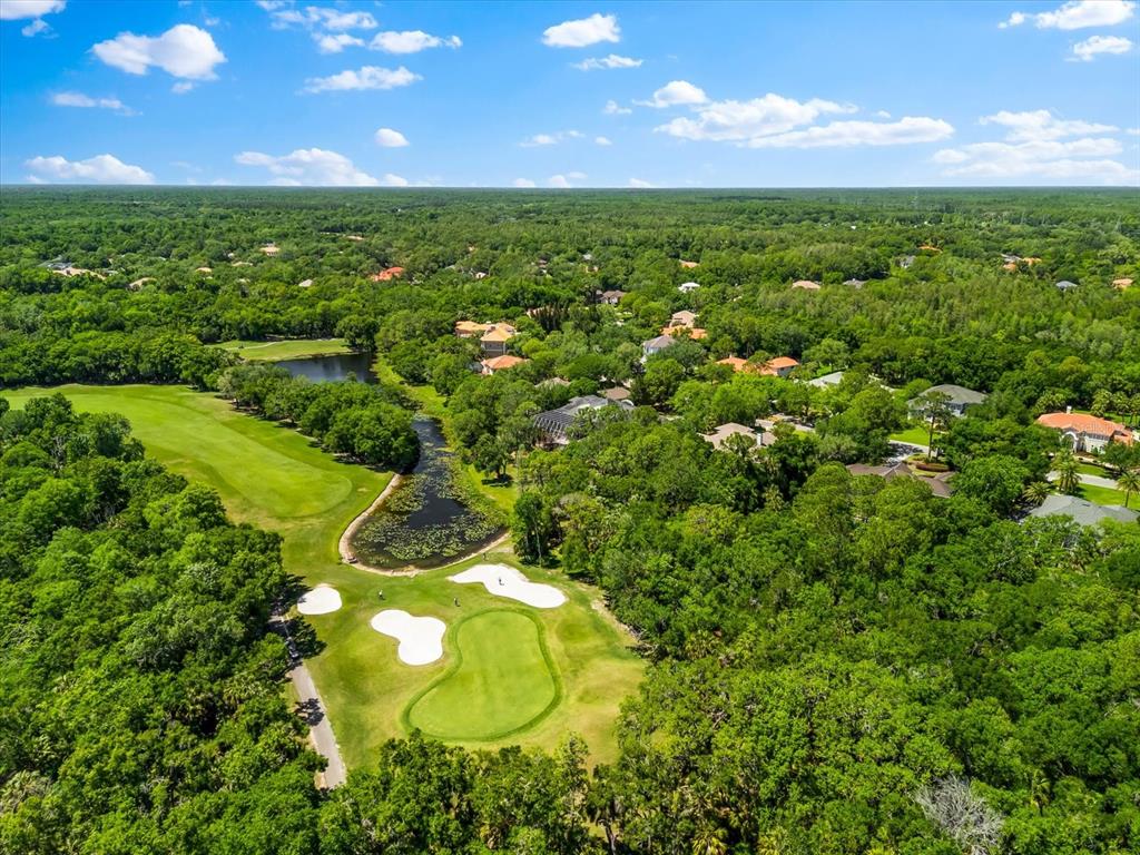 An aerial view shows a golf course green surrounded by sand traps and lush trees — 6413 MACLAURIN DRIVE, TAMPA, FL