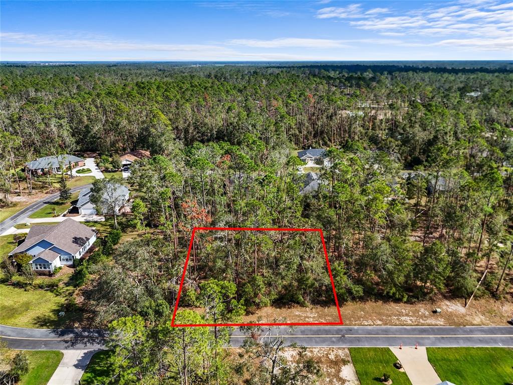 An aerial view shows a rectangular vacant lot outlined in red along a paved road — TBD WILDWOOD DRIVE, LIVE OAK, FL