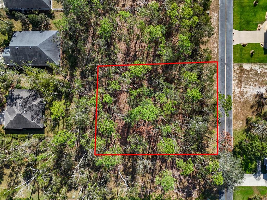 An aerial view shows a rectangular, wooded vacant lot bordered by a road and houses — TBD WILDWOOD DRIVE, LIVE OAK, FL