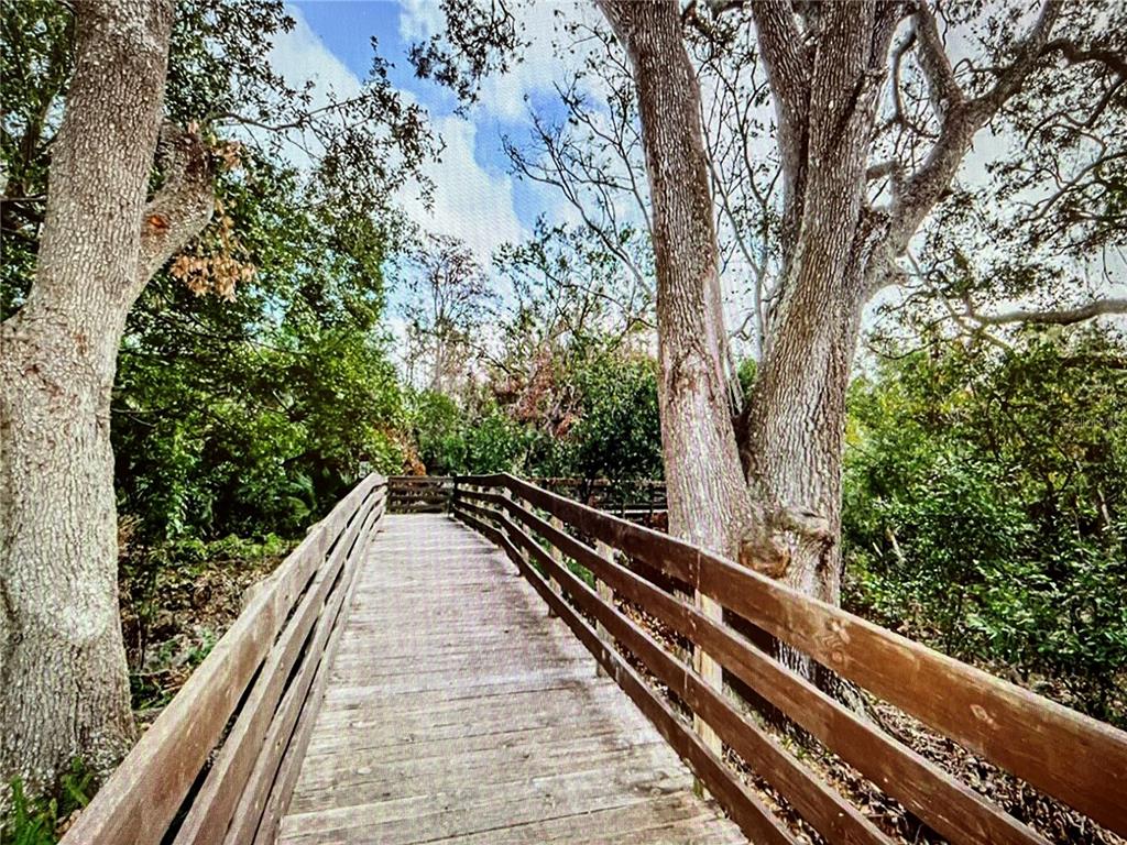 A wooden boardwalk with railings winds through a lush, tree-filled forest area — 10201 TAKOMAH TRAIL, TAMPA, FL