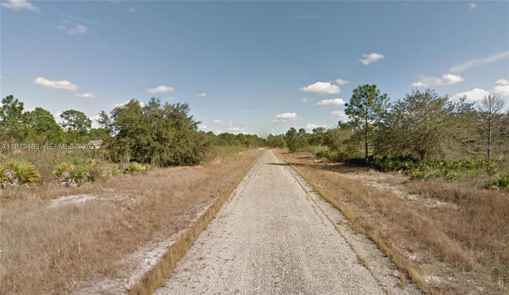 A narrow, unpaved gravel road stretches through a rural, undeveloped landscape with scattered trees — 1132 RANDAN STREET E, LEHIGH ACRES, FL