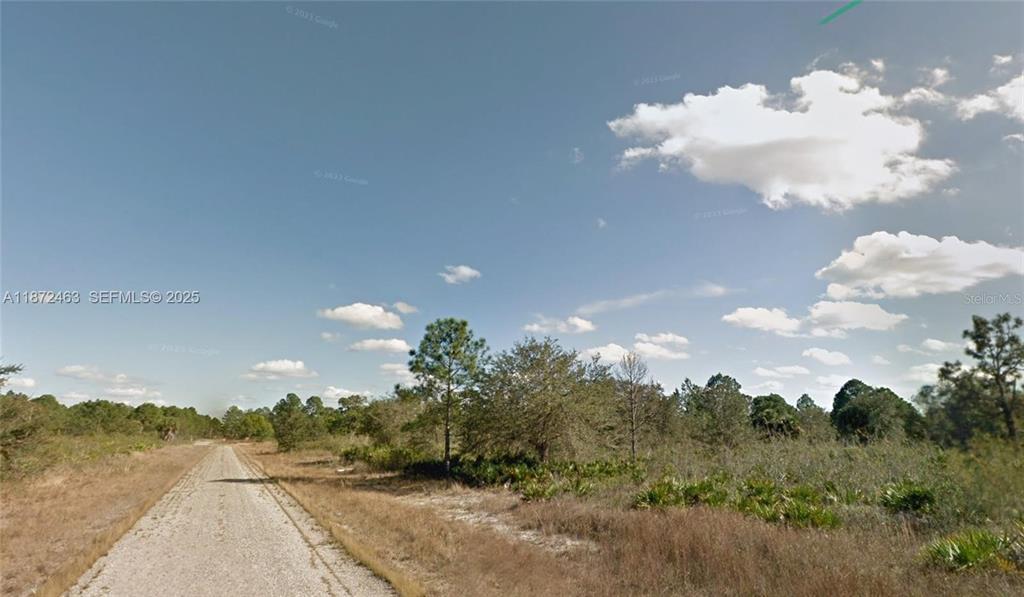 A gravel road leads through a rural, undeveloped landscape with scattered trees and shrubs — 1132 RANDAN STREET E, LEHIGH ACRES, FL