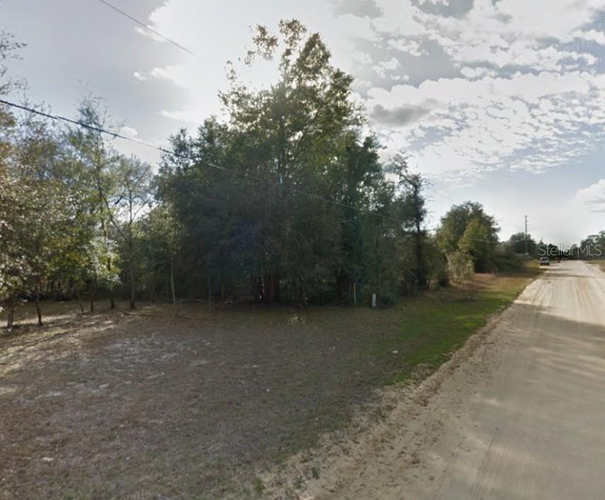 A dirt road runs alongside a wooded lot with scattered trees under a cloudy sky — 503 64TH STREET, INTERLACHEN, FL
