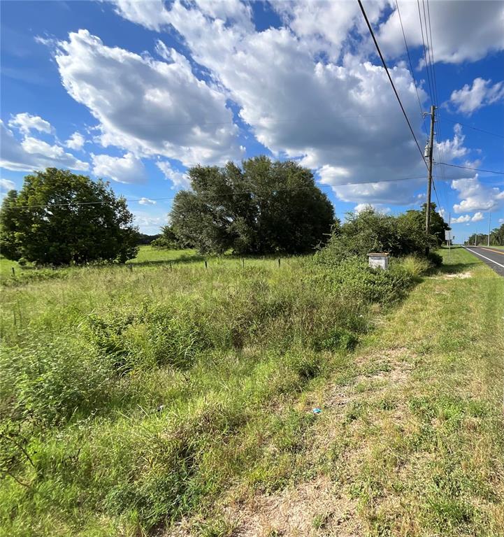 A grassy, undeveloped lot features a large tree and a utility pole along a road — SUNSET HARBOR RD, WEIRSDALE, FL
