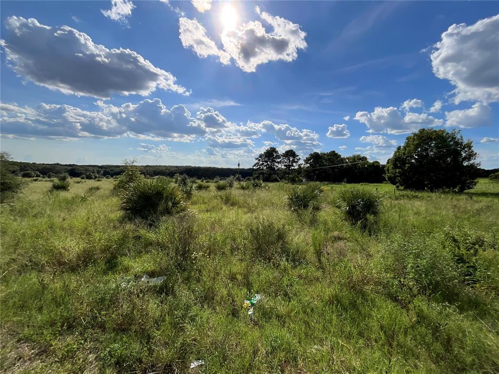 A grassy, undeveloped lot with scattered shrubs and trees under a bright, cloudy sky — SUNSET HARBOR RD, WEIRSDALE, FL