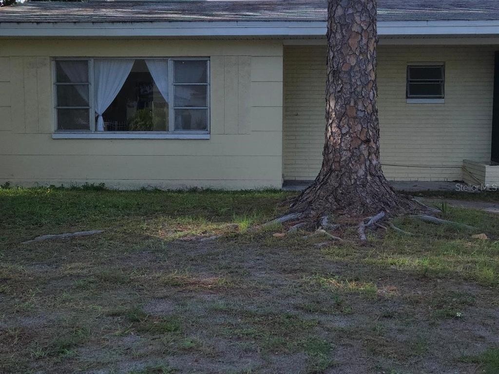A light yellow brick house exterior features a large tree in the front yard — 5715 21ST AVENUE S, GULFPORT, FL