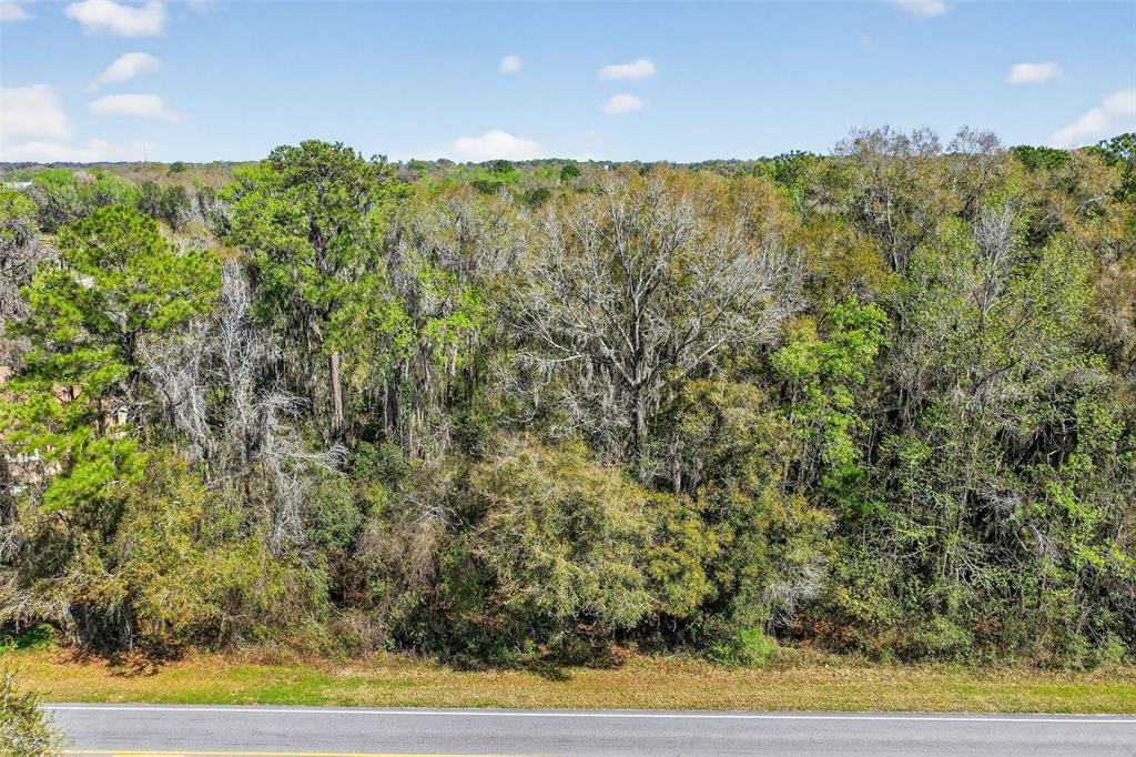 TBD NW HWY 225A, REDDICK, FL — photo 5 of 13