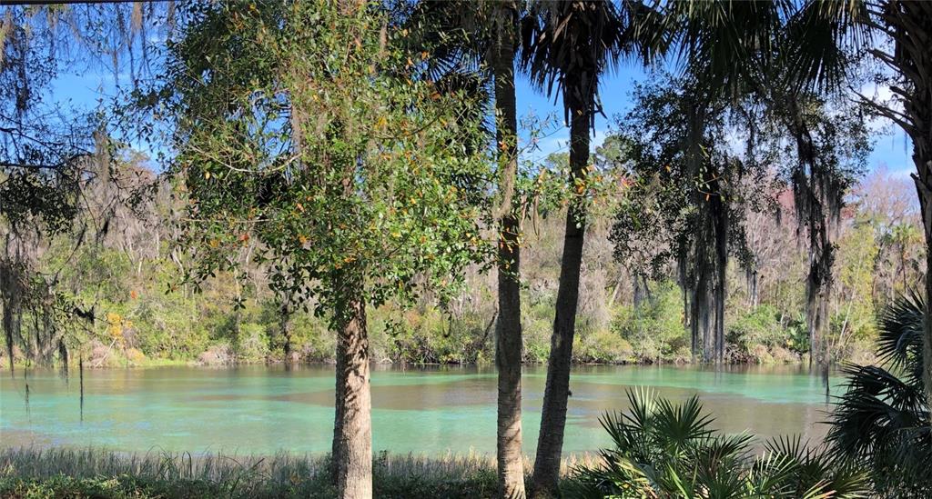 A view of a clear, turquoise-colored river framed by trees with hanging Spanish moss — 24576 NW FALCON AVENUE, DUNNELLON, FL