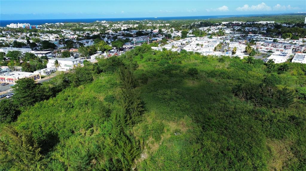 An aerial view shows a large, undeveloped green lot surrounded by residential buildings and vegetation — BO HIGUILLAR CARR. 695 KM. 3.2, DORADO, PR