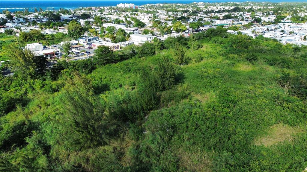 An aerial view shows a large, overgrown vacant lot adjacent to a residential neighborhood and ocean — BO HIGUILLAR CARR. 695 KM. 3.2, DORADO, PR