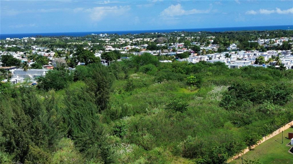 An aerial view shows a large, undeveloped grassy lot bordered by trees and residential buildings — BO HIGUILLAR CARR. 695 KM. 3.2, DORADO, PR