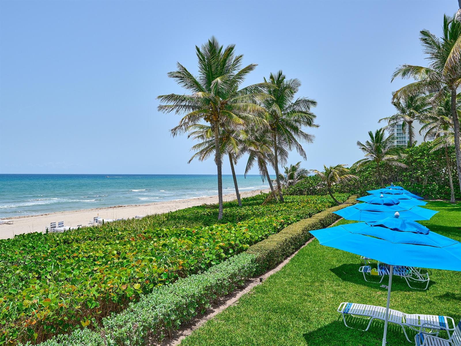 A grassy lawn with blue umbrellas overlooks a sandy beach and the ocean — 3420 S Ocean Boulevard # 8w, Highland Beach FL 33487, HIGHLAND BEACH, FL