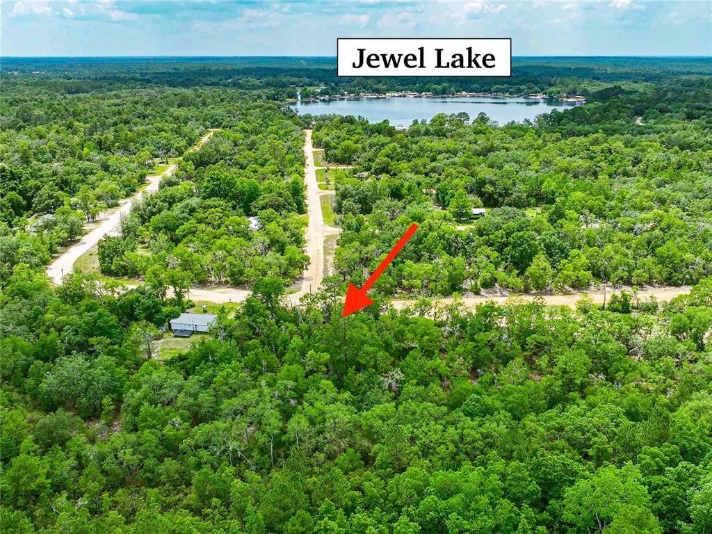 An aerial view shows a wooded lot with a red arrow pointing toward the property — 128 CARMICHAEL ROAD, INTERLACHEN, FL