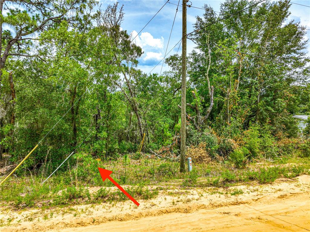 A wooded lot with a utility pole and power lines along a sandy road — 128 CARMICHAEL ROAD, INTERLACHEN, FL