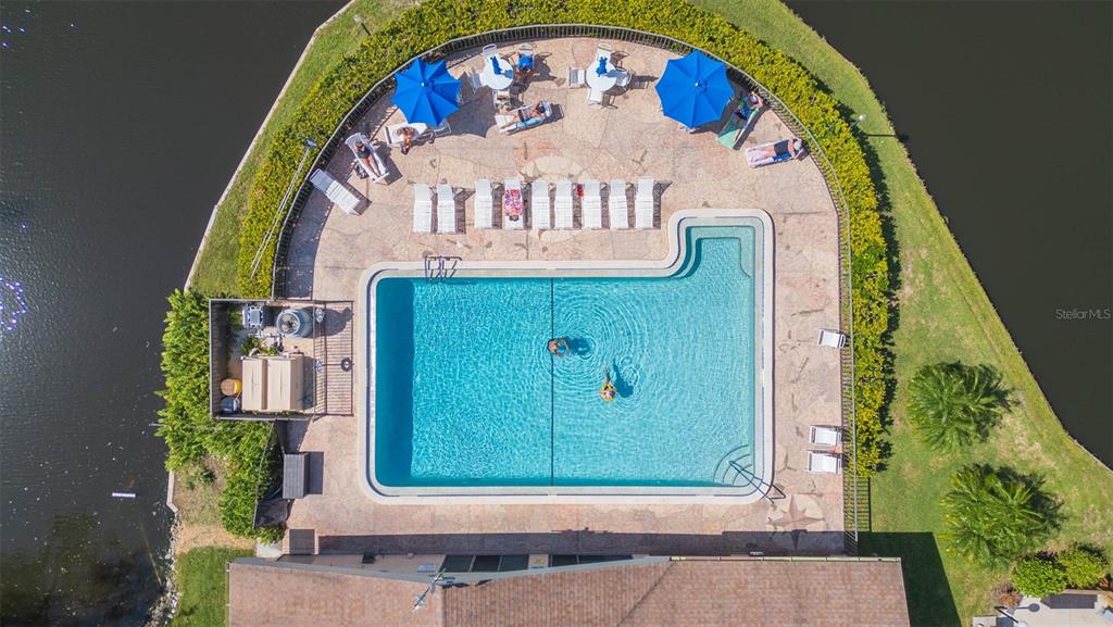 An aerial view of a swimming pool surrounded by lounge chairs, umbrellas, and landscaping — 315 30TH AVENUE W UNIT B201, BRADENTON, FL