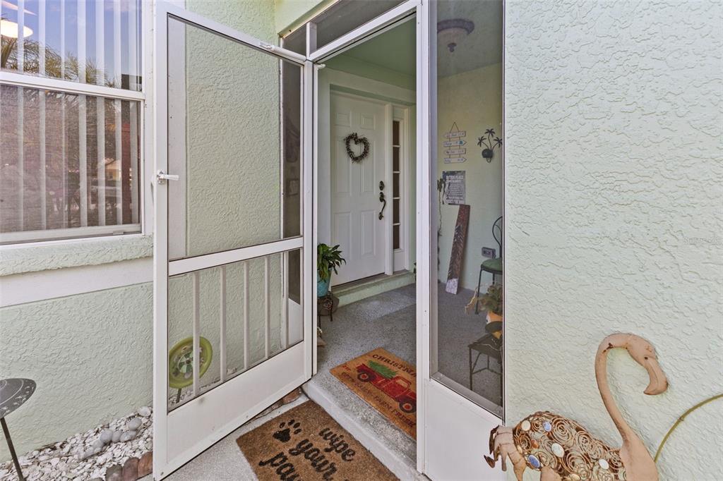 A white screen door opens to a covered entryway with a white front door — 11466 CAPTIVA KAY DRIVE, RIVERVIEW, FL