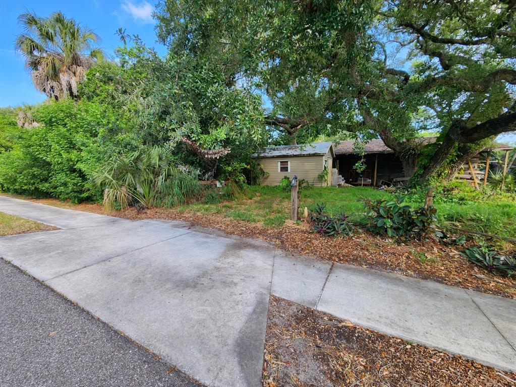 A small, weathered shed sits on a grassy lot shaded by large, mature trees — SHAMROCK DRIVE, VENICE, FL