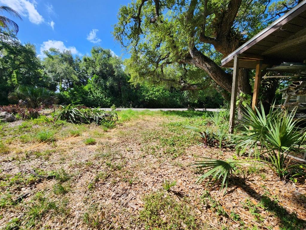A grassy yard with scattered leaves, a large tree, and a partial view of a structure — SHAMROCK DRIVE, VENICE, FL
