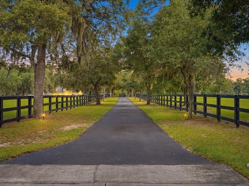 A paved driveway leads through a tree-lined property with black wooden fencing on both sides — 19950 SW 5TH PLACE, DUNNELLON, FL