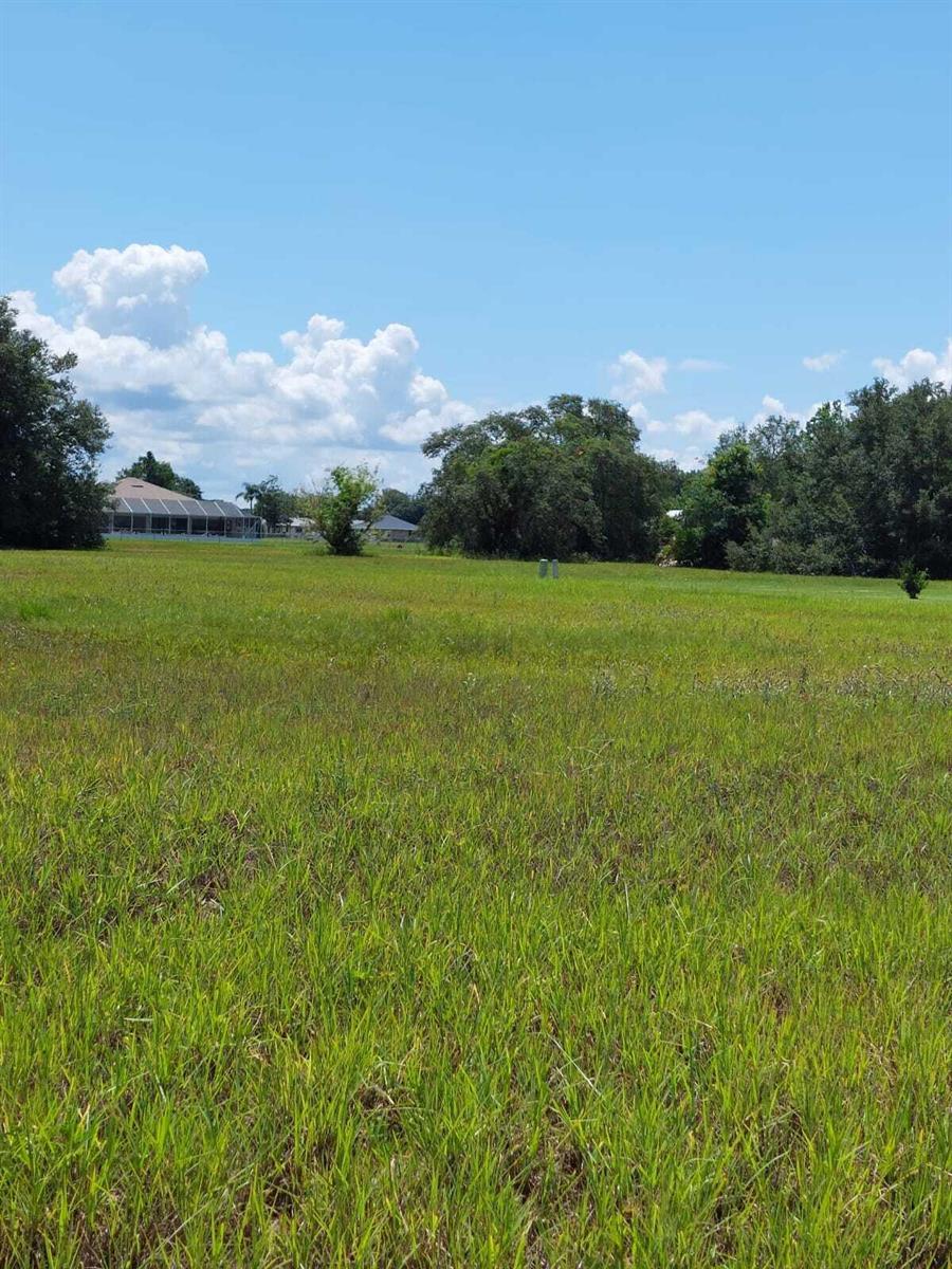 A large, grassy, undeveloped lot with trees and a distant house under a blue sky — 7924 Castile Road, Sebring FL 33876, SEBRING, FL