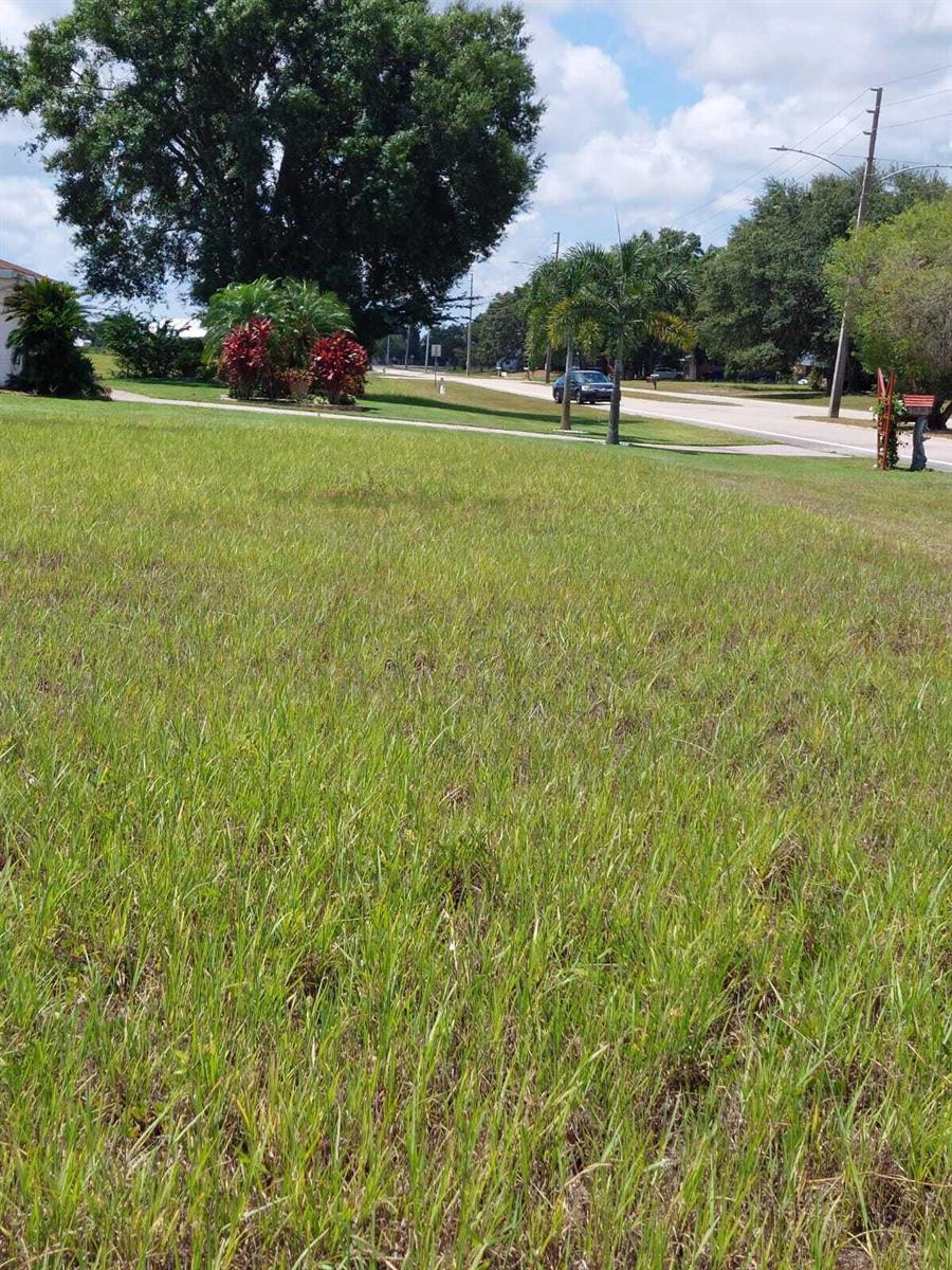 A grassy, vacant residential lot features a large tree and a view of a street — 7924 Castile Road, Sebring FL 33876, SEBRING, FL