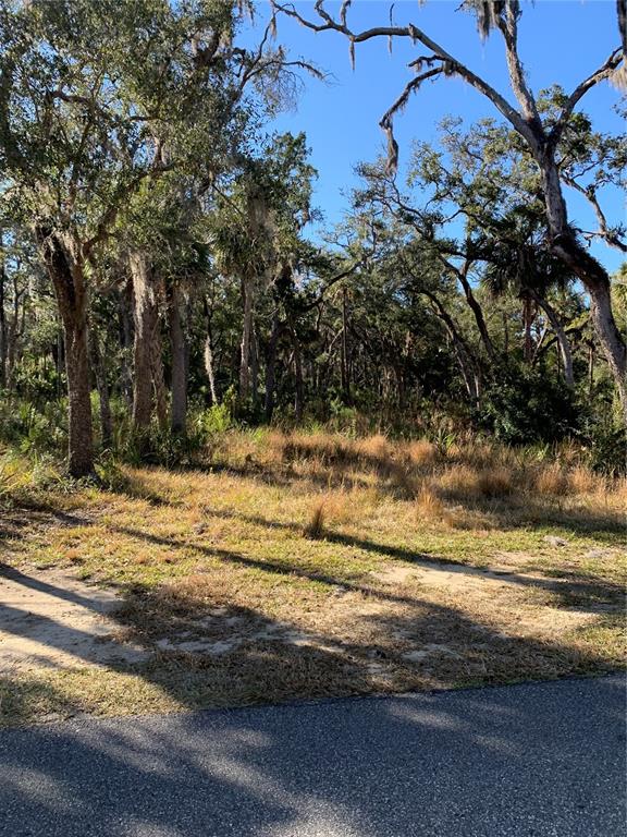A vacant, grassy lot with scattered trees and Spanish moss borders a paved road — 12148 W STANDISH DRIVE, HOMOSASSA, FL