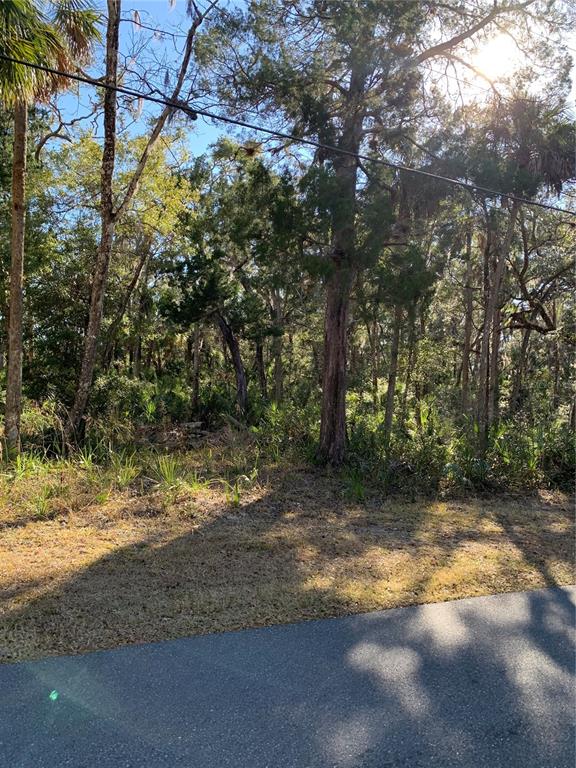 A wooded, undeveloped residential lot viewed from an adjacent paved road — 12148 W STANDISH DRIVE, HOMOSASSA, FL