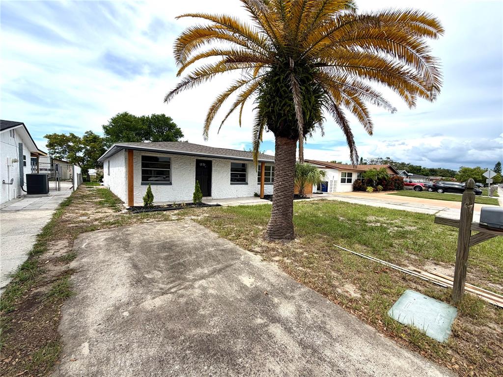 A white single-story house features a large palm tree in the front yard — 3331 DARLINGTON ROAD, HOLIDAY, FL